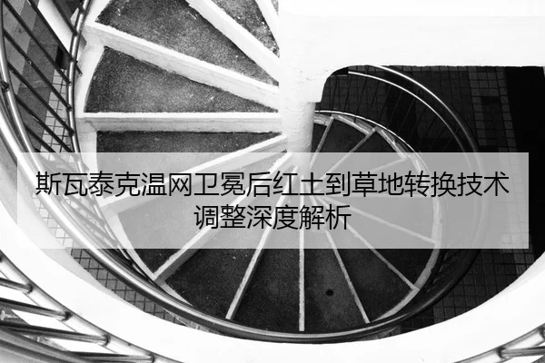 si-wa-tai-ke-wen-wang-wei-mian-hou-hong-tu-dao-cao-di-zhuan-huan-ji-shu-tiao-zheng-shen-du-jie-xi-3-396.jpg